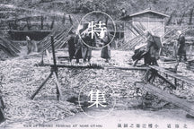 小樽と鰊