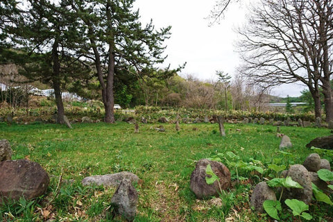 Oshoro Stone Circles | Otaru Tourist Attractions