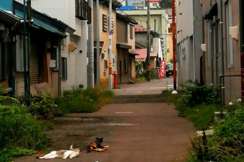 小樽100個場景 第23卷