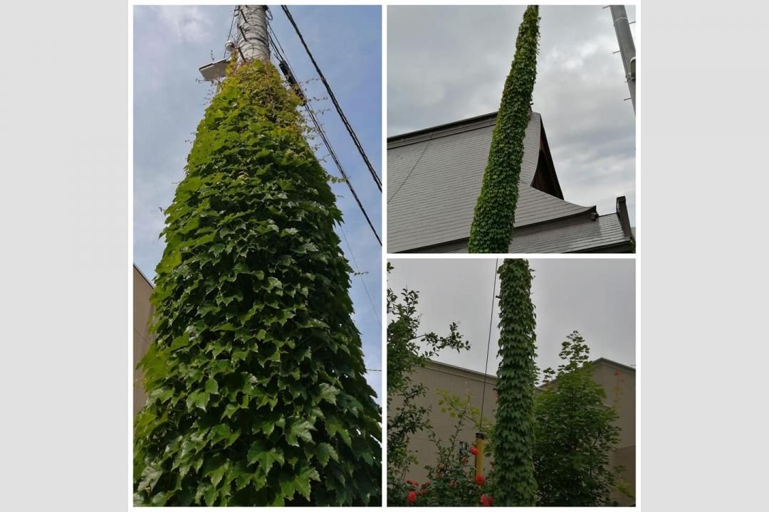 Otaru 100 Scenes vol.40