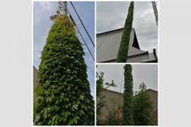 Otaru 100 Scenes vol.40