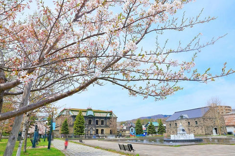 運河公園｜小樽観光
