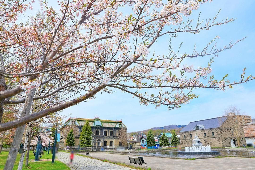 運河公園｜小樽觀光景點