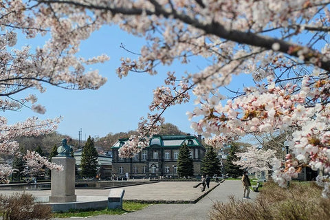 舊日本郵船株式會社小樽分店