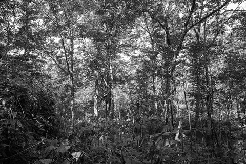 小樽 THE STORY 第2卷<br>小樽中川町和小樽板谷家的故事