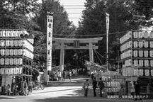 小樽故事 第4卷<br>小樽故事 住吉神社