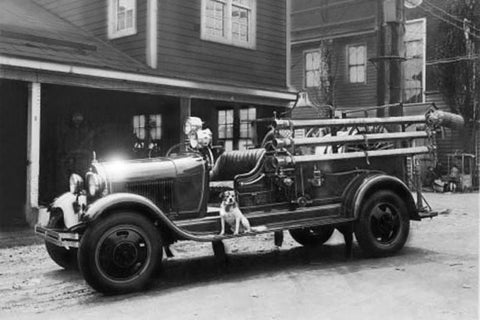 【小樽 THE STORY 第10卷<br>小樽物語：火狗文庫】