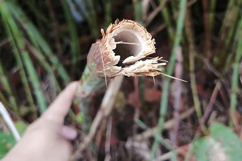 小樽100個場景 第22卷