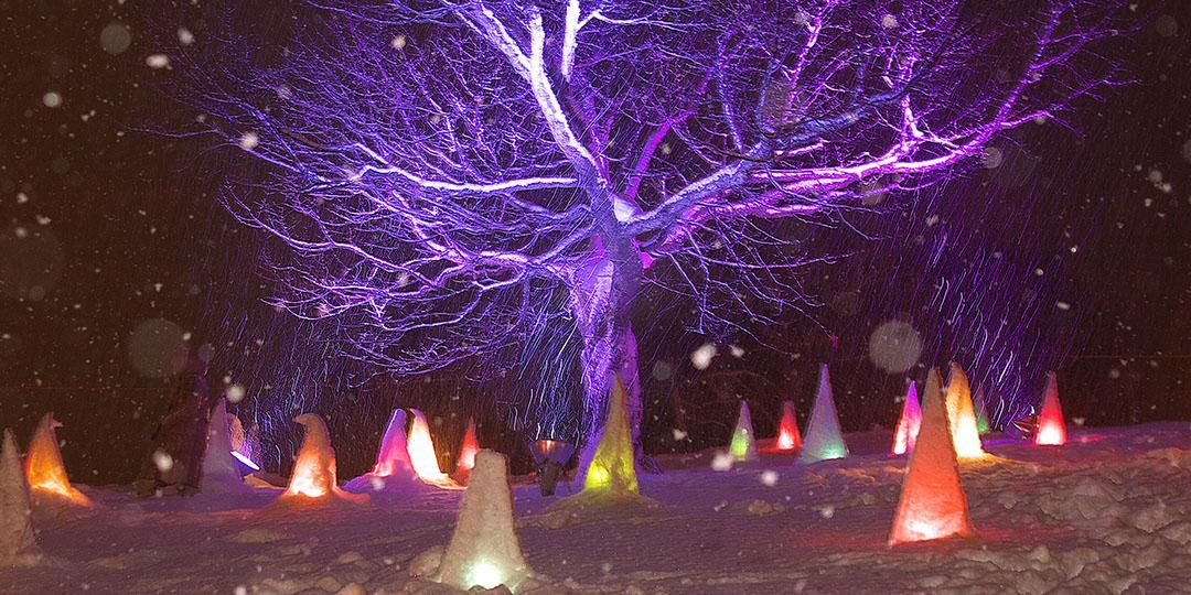如何在冬季享受小樽的雪景
