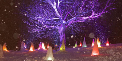 如何在冬季享受小樽的雪景