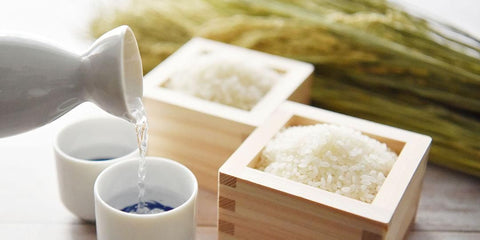 6 Best Sake Breweries and Wineries in Otaru and Yoichi [2026 Latest]: Nikka and Local Shops