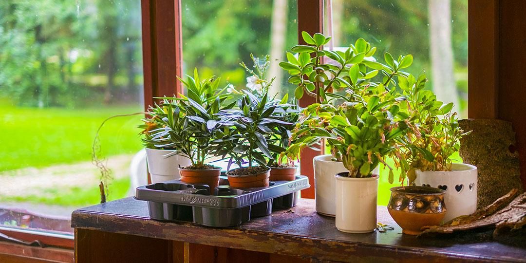 小樽民宿 小樽旅遊 2026