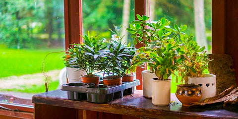 小樽民宿 小樽旅遊 2026