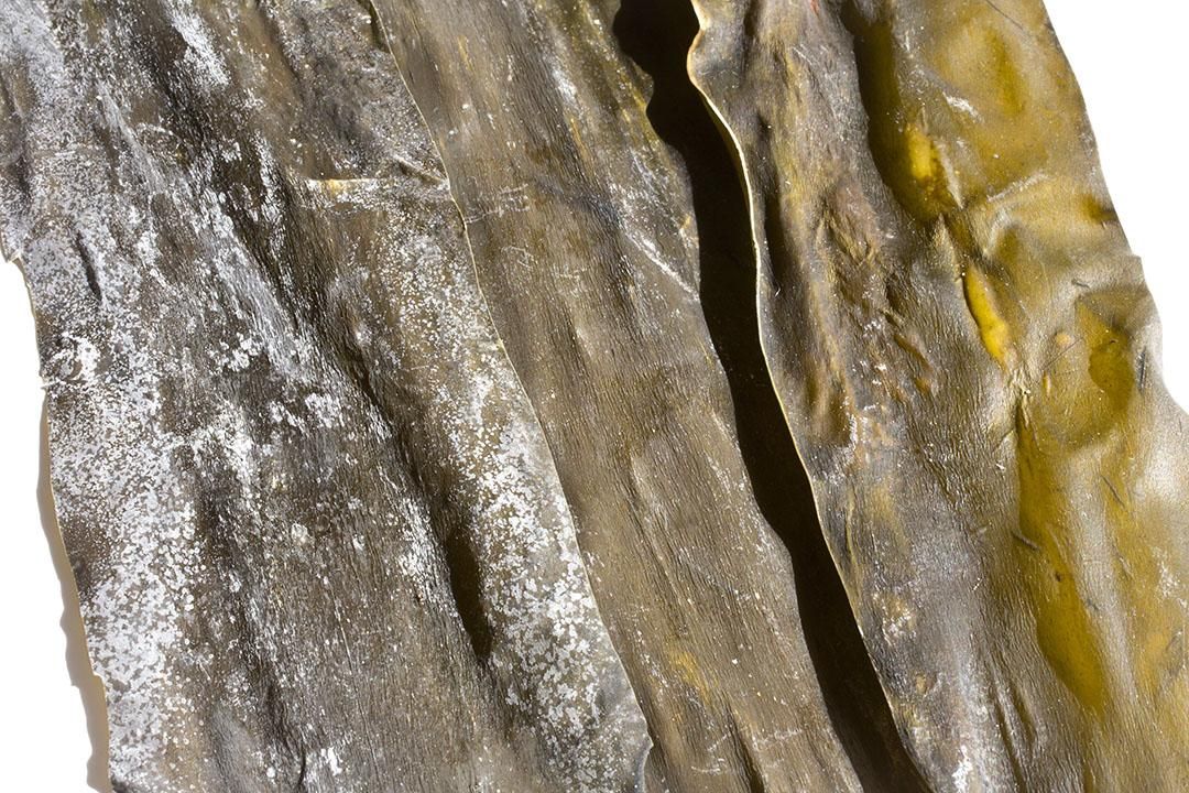 利尻高湯昆布 80g image 2