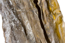 170g of Rishiri kelp (for dashi) thumb 2