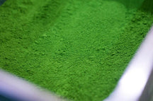 【堀井七若園】抹茶入り玄米茶 thumb 3