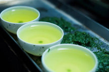 【堀井七若園】茶園の山出し緑茶 煎茶 thumb 3